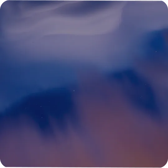 About the initiative